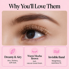 Fairy Dust-Chestnut Brown
