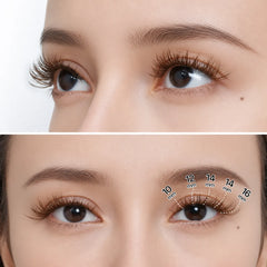 Starlight -Brown