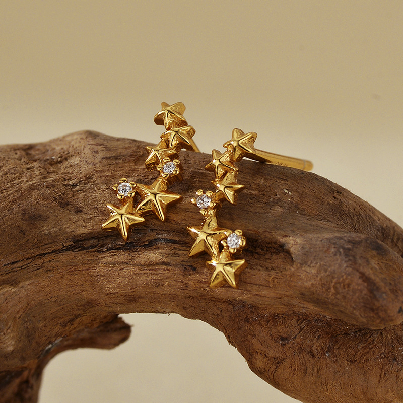 主图-01 Pentagram earrings - Image 1